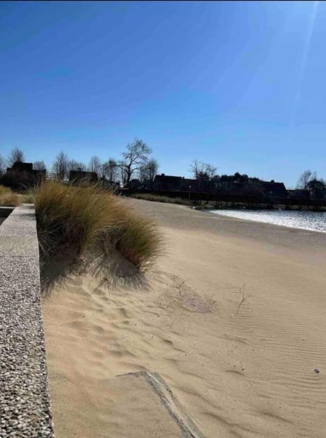 Apartment Cosy A 2 Pas De La Knokke-Heist